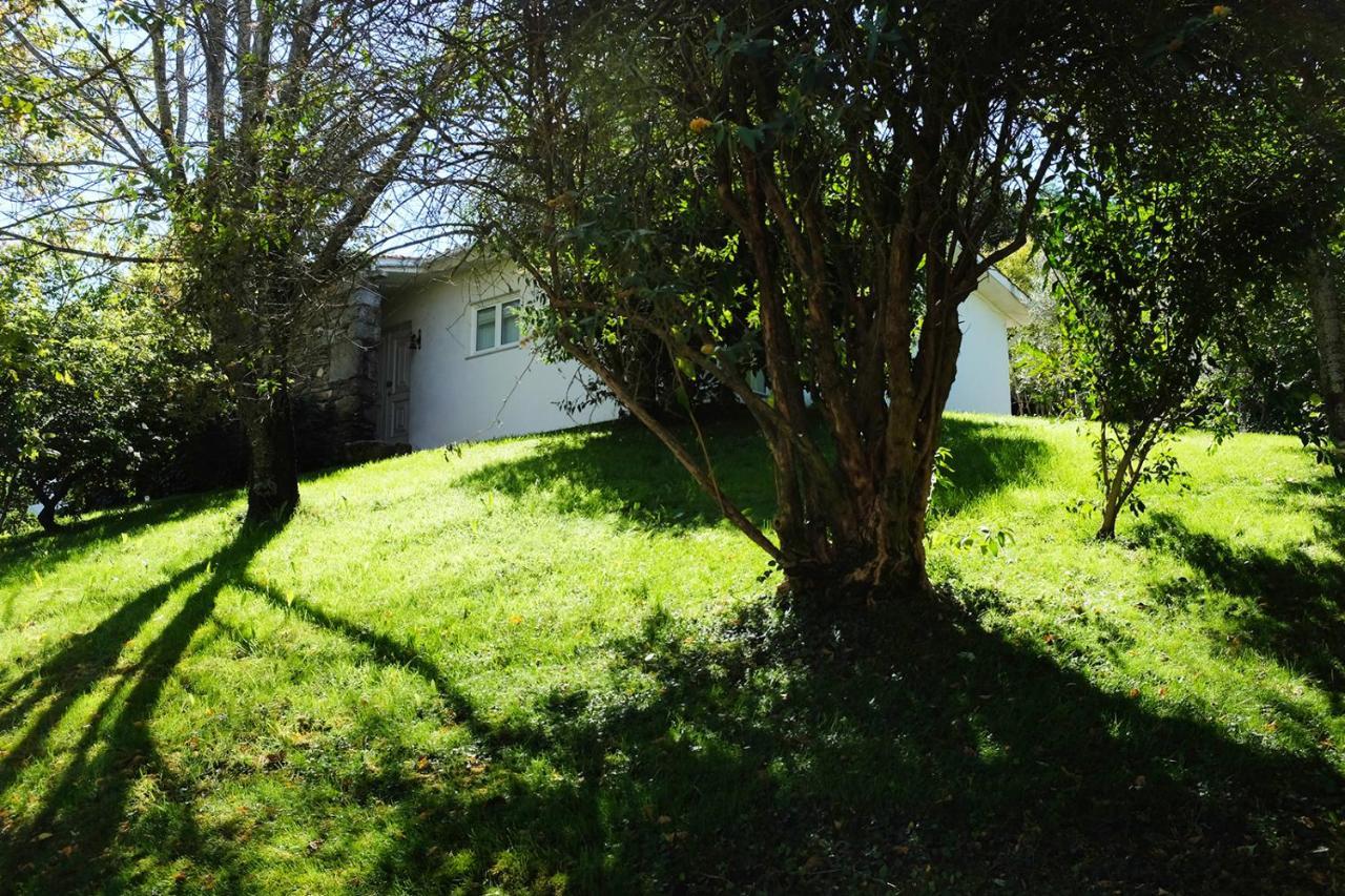 Casa Do Galo / Galo House Villa Vimioso Dış mekan fotoğraf