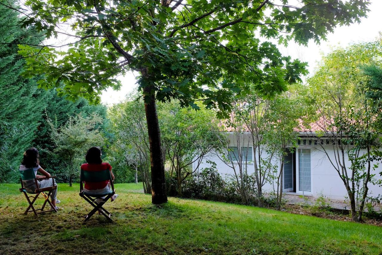 Casa Do Galo / Galo House Villa Vimioso Dış mekan fotoğraf